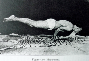 mayurasana